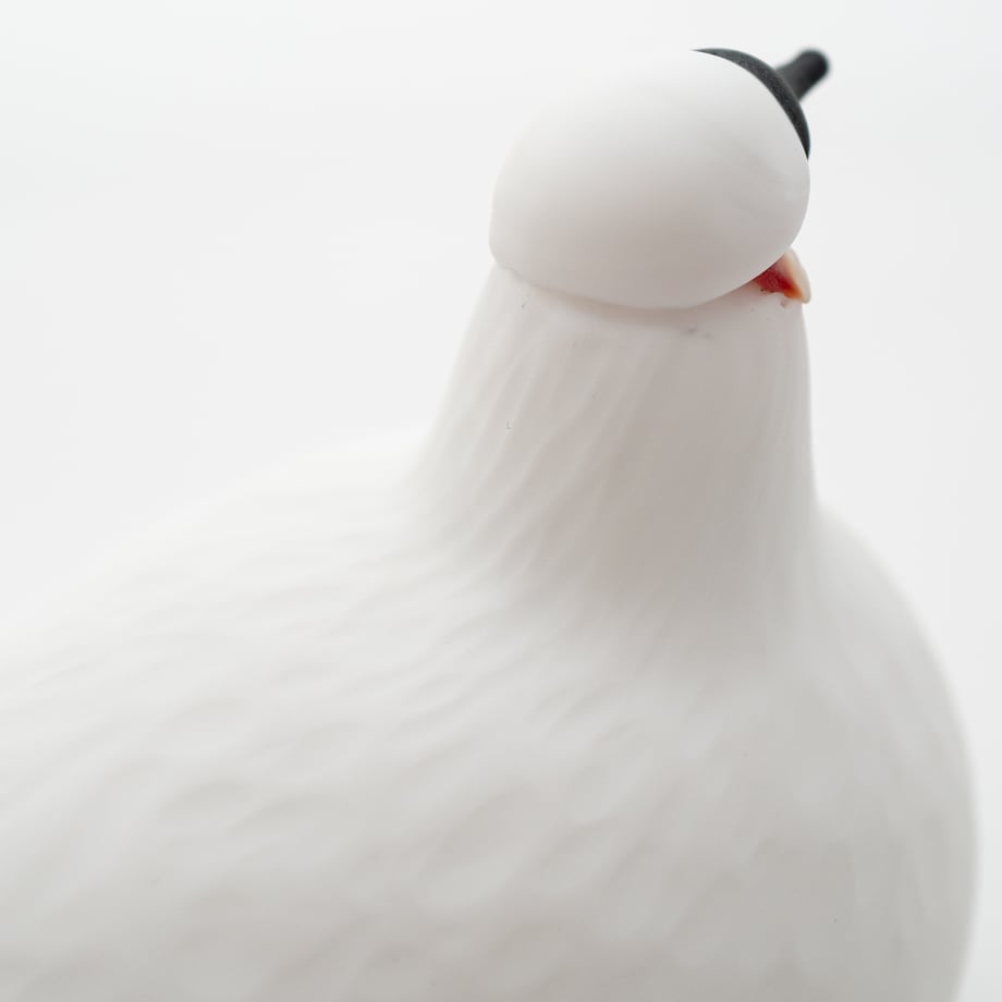 66a9e1707b0f7206f0e37f05