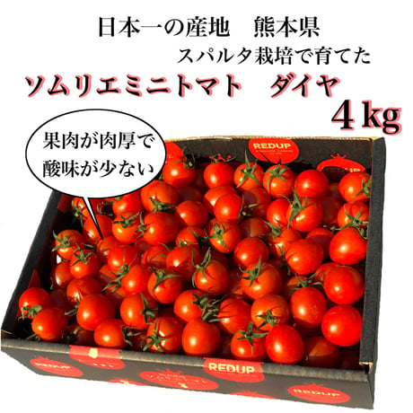 塩トマトのようなフルーツトマト　ソムリエミニトマト　ダイヤ４kg