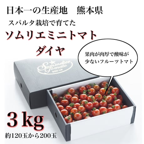 【極み】酸味が少ないフルーツトマト　ソムリエミニトマト　ダイヤ３kg