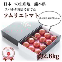 【極み】希少な高濃度フルーツトマト　ソムリエミニトマト　プラチナ３kg（１２０玉～２００玉） 予約】【極み】希少な高濃度フルーツトマト ソムリエミニトマト