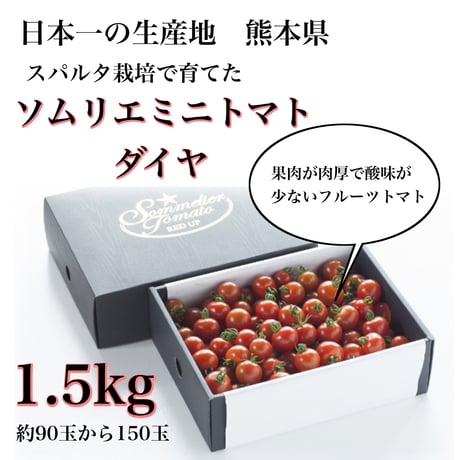 【極み】酸味が少ないフルーツトマト　ソムリエミニトマト　ダイヤ１.５kg