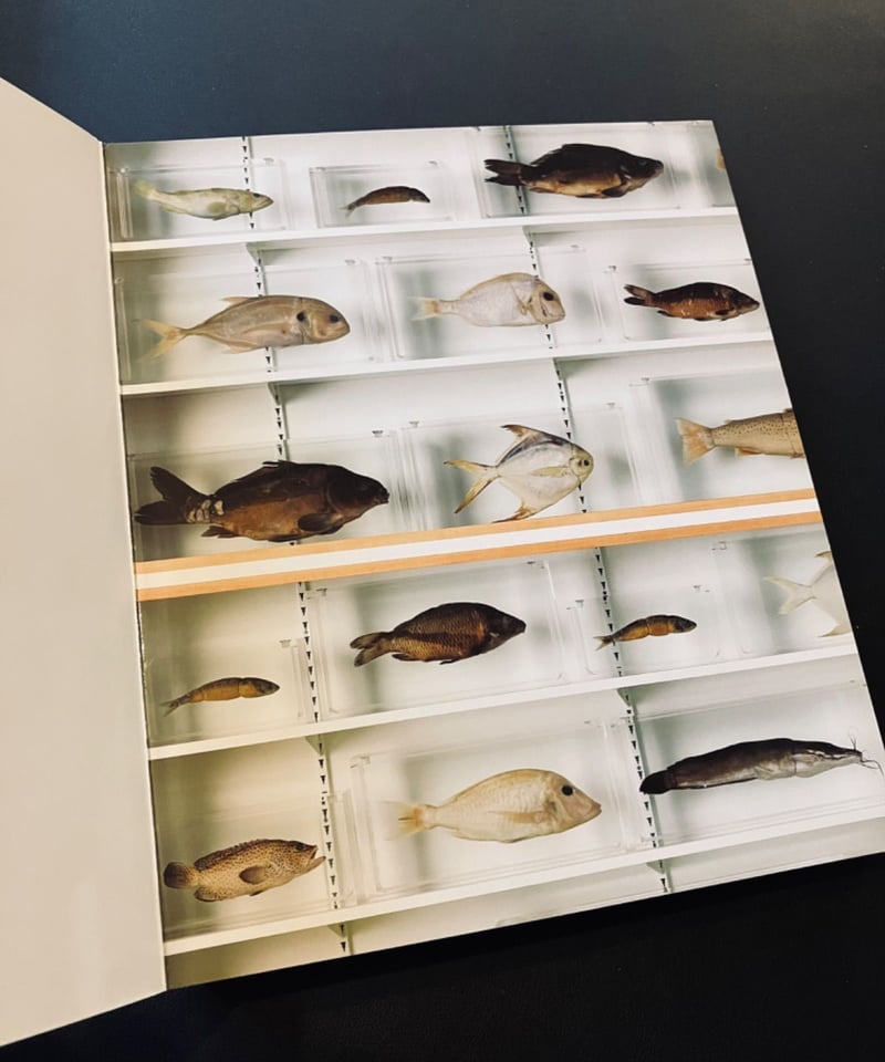 古書）ダミアン・ハースト 図録 作品集 ABC Damien Hirst | 古書