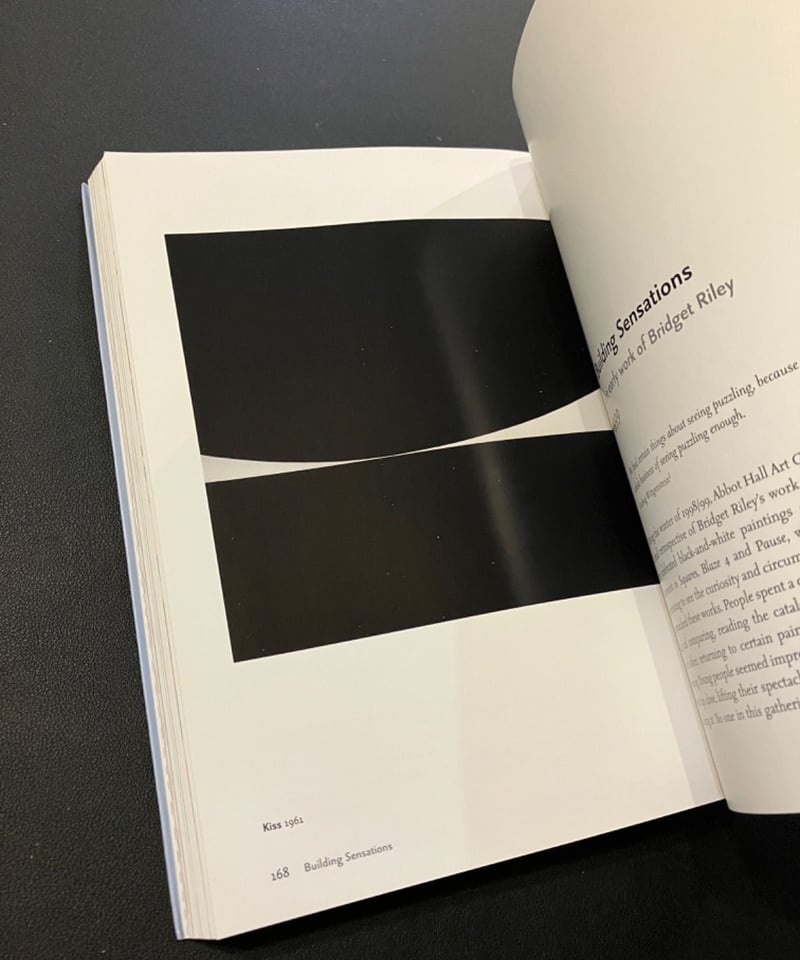 古書）ブリジット・ライリー 作品 インタビュー Robert Kudielka