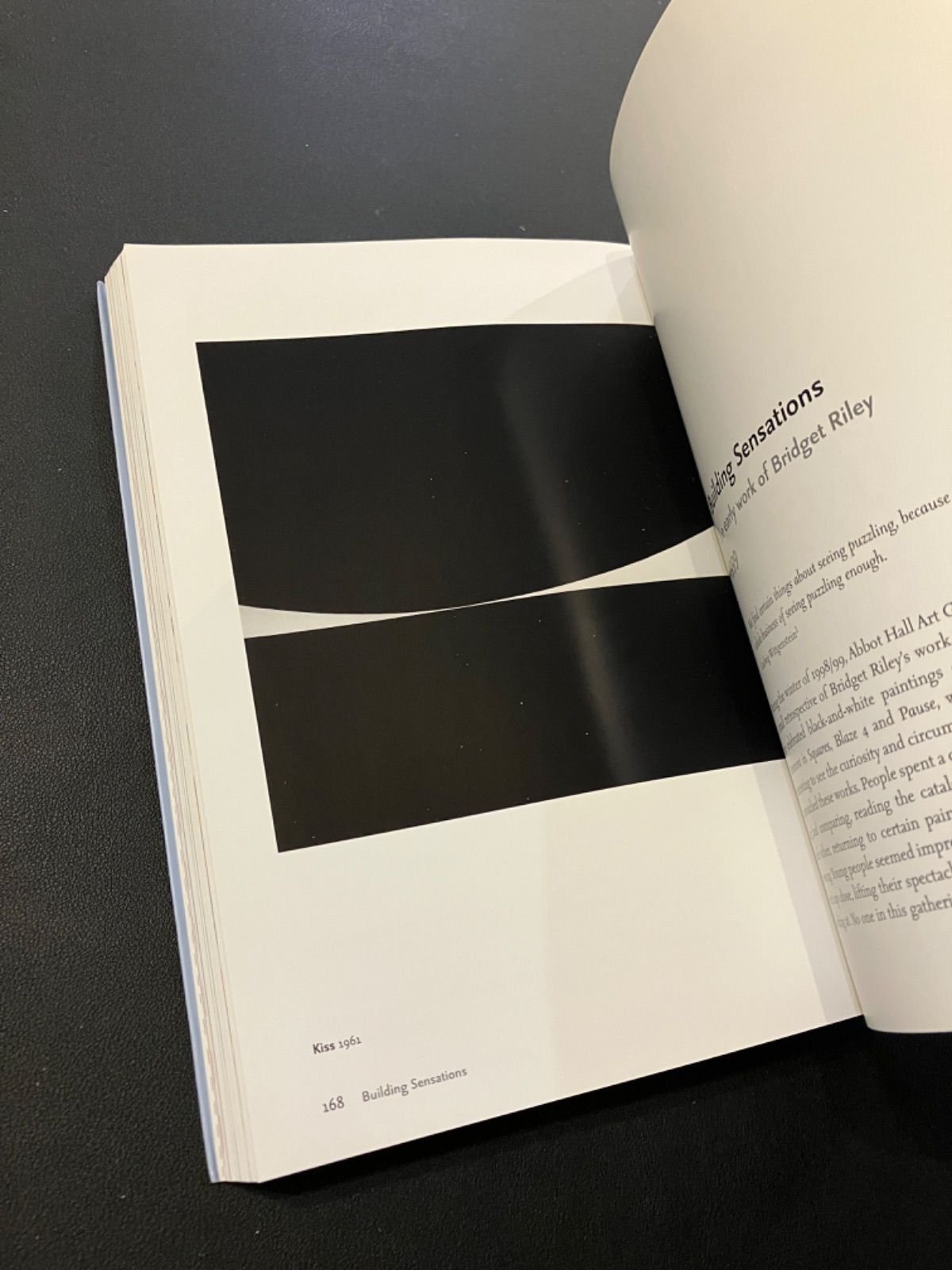 【美品】Bridget Riley ブリジット・ライリー 作品集 BRIDGET RILEY DRAWINGS：ブリジット・ライリーの販売・通販 | OIL