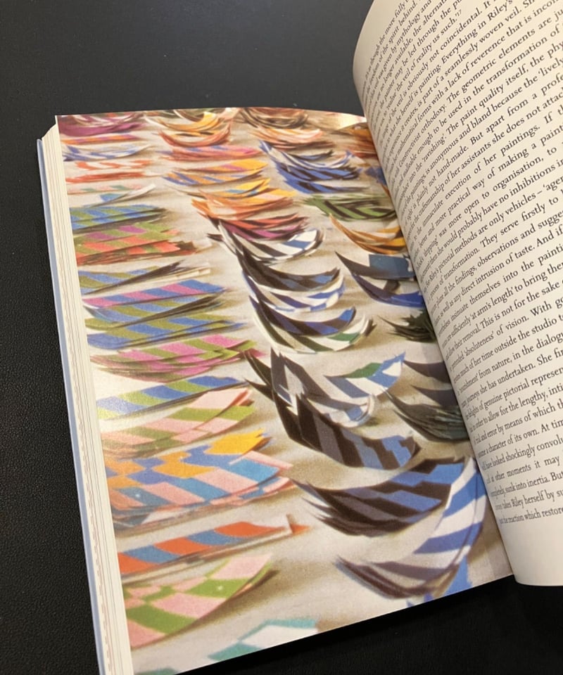 【美品】Bridget Riley ブリジット・ライリー 作品集 BRIDGET RILEY DRAWINGS：ブリジット・ライリーの販売・通販 | OIL