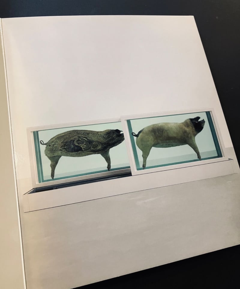 ダミアン・ハースト　作品集 古書）ダミアン・ハースト 図録 作品集 ABC Damien Hirst | 古書