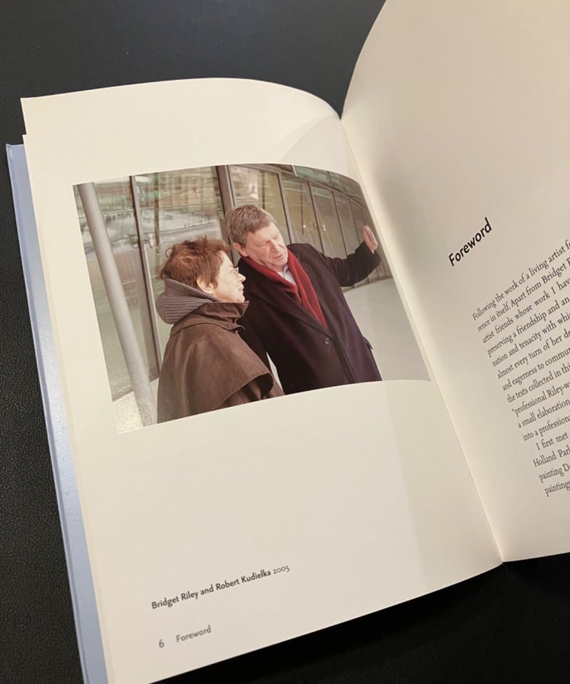 古書）ブリジット・ライリー 作品 インタビュー Robert Kudielka