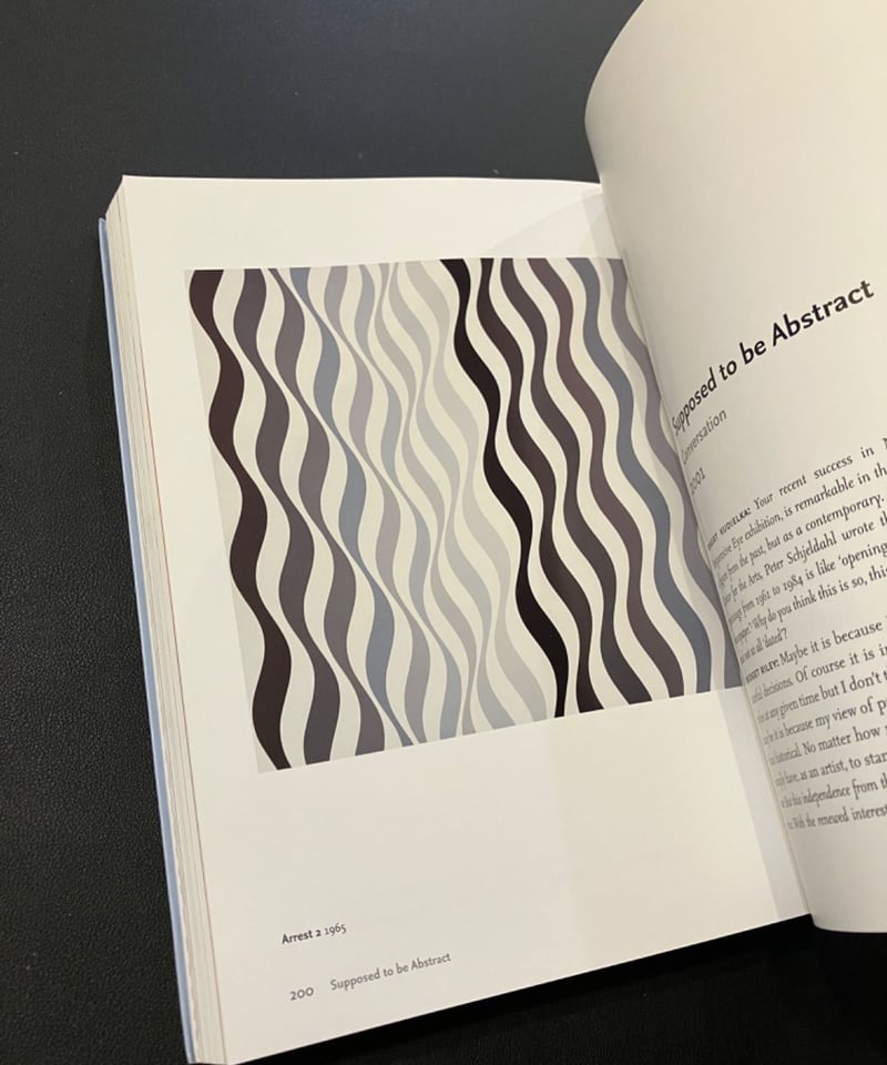 【美品】Bridget Riley ブリジット・ライリー 作品集 BRIDGET RILEY DRAWINGS：ブリジット・ライリーの販売・通販 | OIL