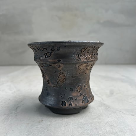 CATEGORY 鉢 | GOOD DAYS