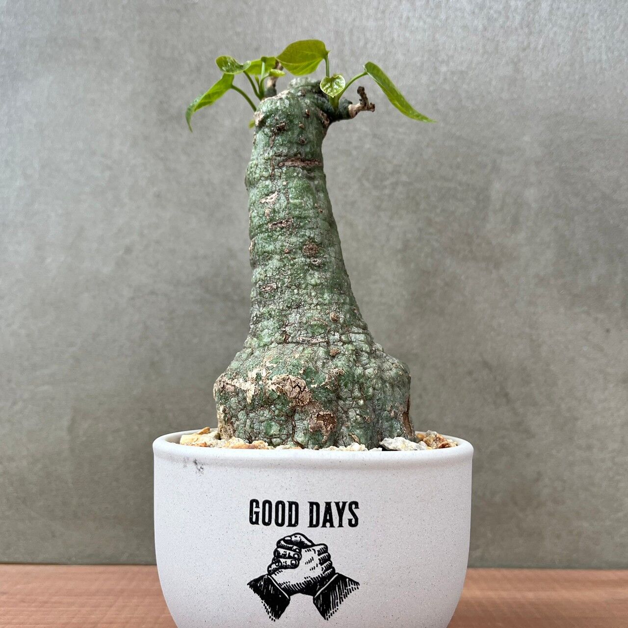 original