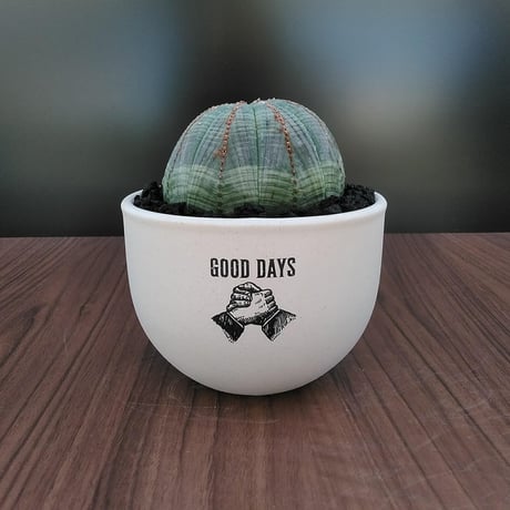 CATEGORY オベサ | GOOD DAYS CATEGORY オベサ | GOOD DAYS