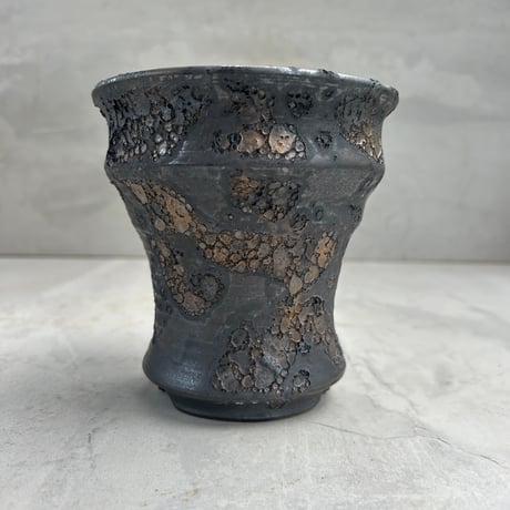 CATEGORY 鉢 | GOOD DAYS