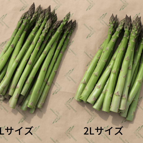 朝採れ！喜多方産アスパラガス Lサイズ 5kg -2026年-