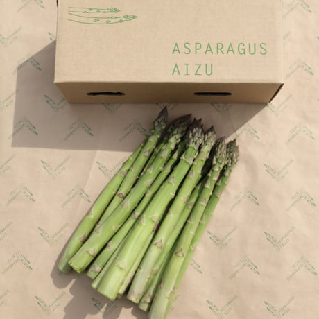 アスパラ様 リクエスト 2点 まとめ商品 予約】北海道産 アスパラガス ホワイトアスパラ 600g (共撰/L-2L