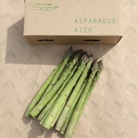 朝採れ！喜多方産アスパラガス 2Lサイズ5kg　-2026年-