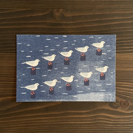 なかいつこ - ポストカード / ユリカモメたち