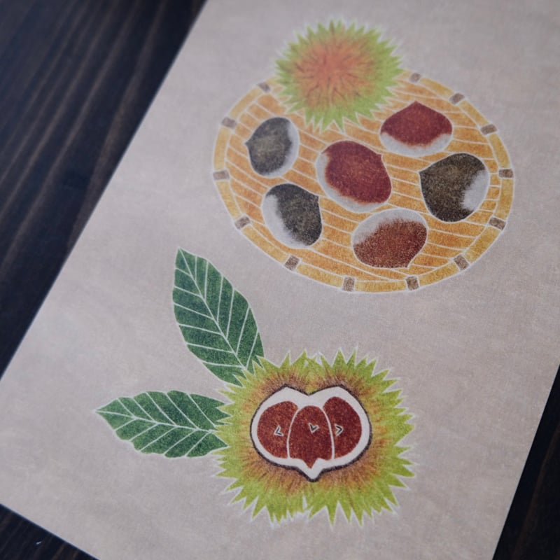 伊藤絵里子 ポストカード / 栗 | リスノ雑貨店