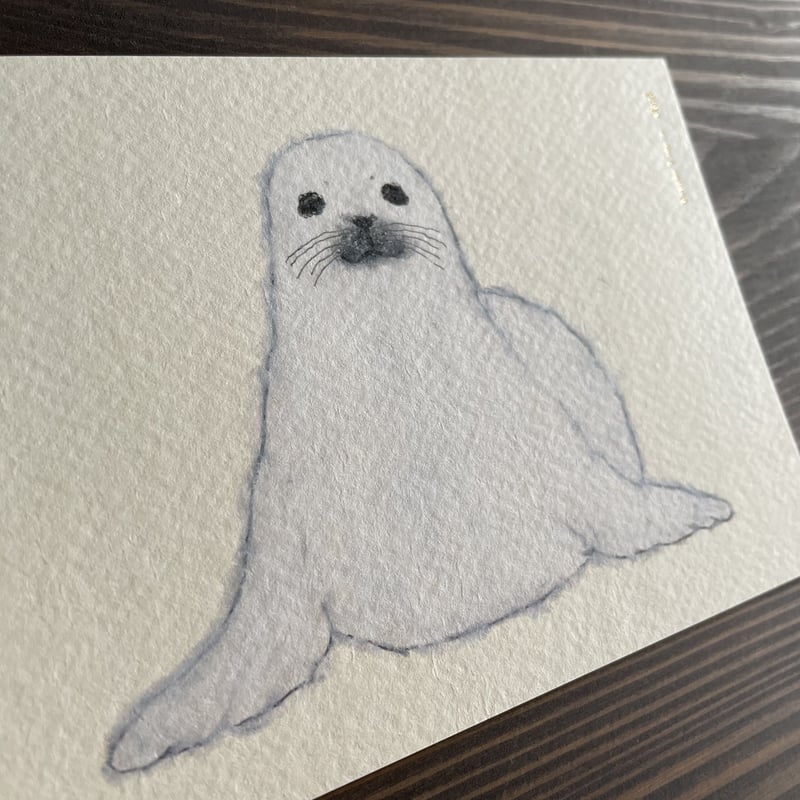 米津祐介 ポストカード/ あざらし | リスノ雑貨店