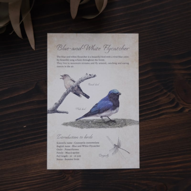 野鳥ポストカード(夏鳥・オオルリ/キビタキ) | リスノ雑貨店