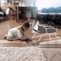 赤ちゃんの写真に使える！カブトムシのスタンプセット