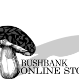 BUSH BANK STORE
