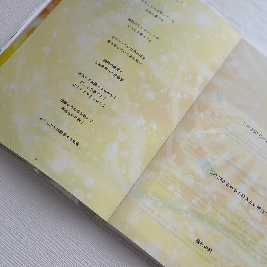 68e1db9940aa621b1c91247b