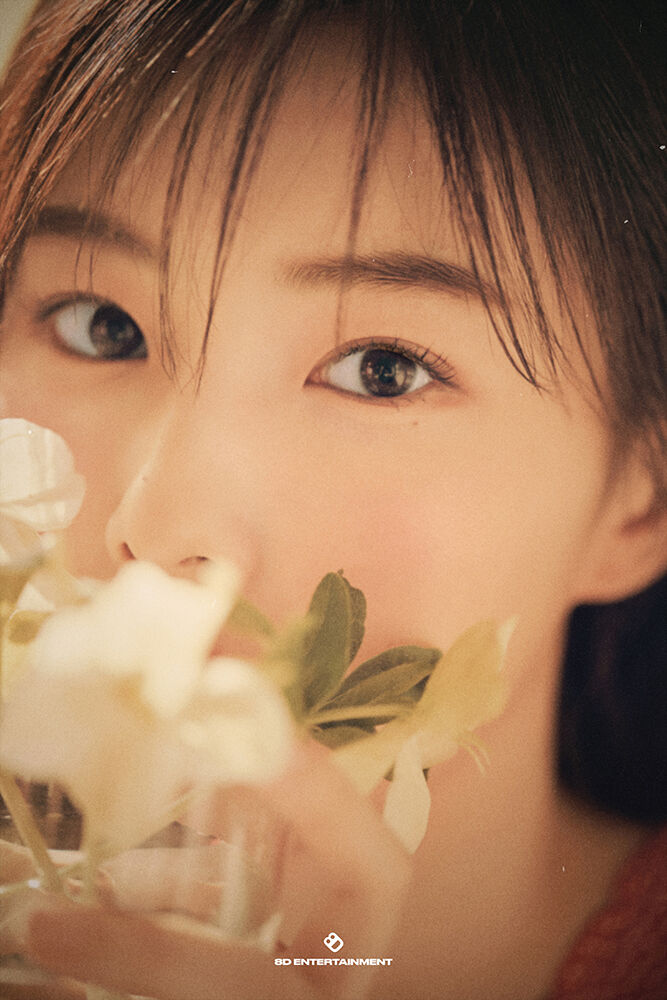ブロマイド特典付、送料無料】Beauty Cut (Type A)／Kang Hye Won