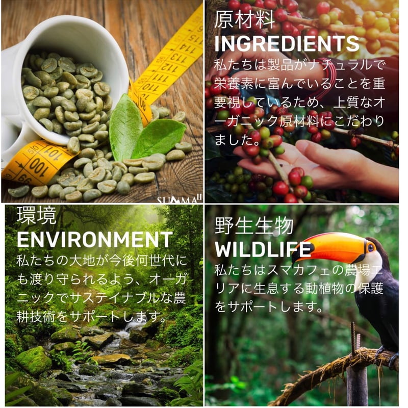 グリーンコーヒー【オーガニック生豆珈琲】お徳用 180g大袋タイプ（約