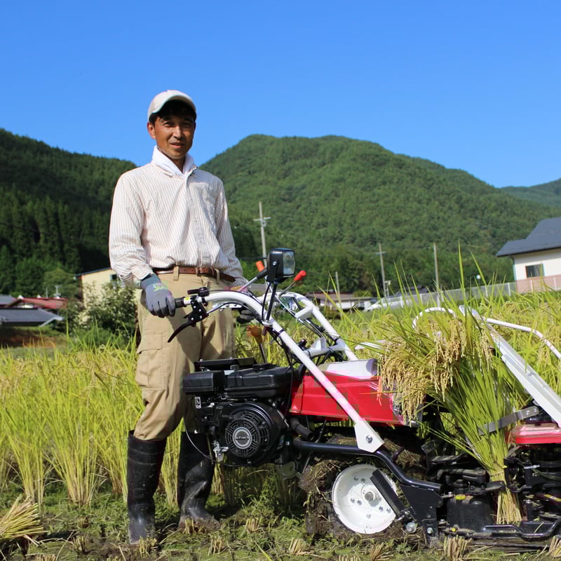 令和7年新米🍙自然栽培 亀の尾（玄米3㎏）“百年の時を超えた幻