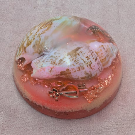 オルゴナイト | STORES