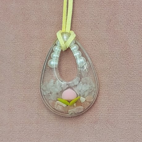 Peach Aura Online Shop