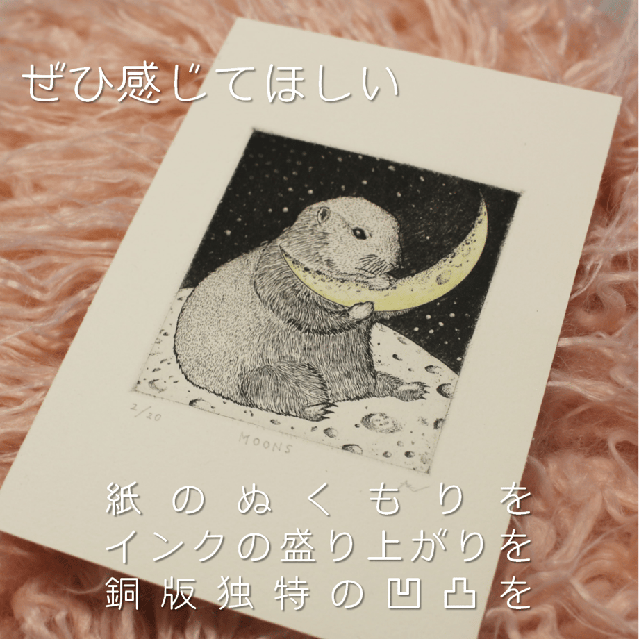 67454c999300a905d0ab828b