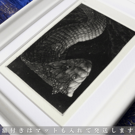 2025年干支・巳 銅版画作品 「Nagaraja」