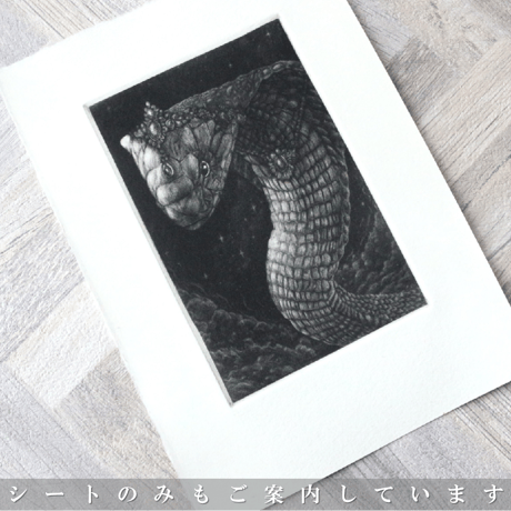 2025年干支・巳 銅版画作品 「Nagaraja」