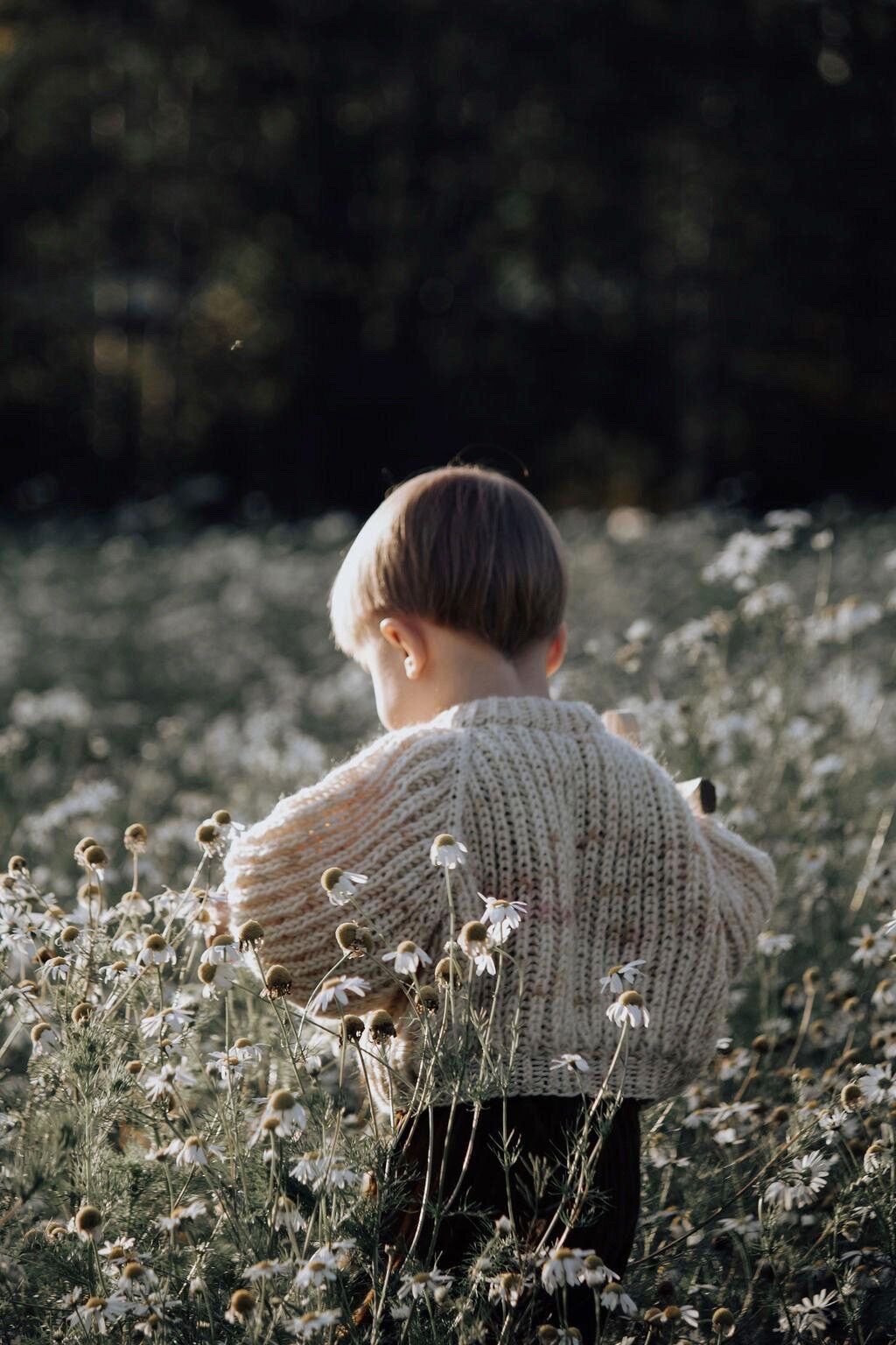 Silmuknitting｜Aava-Merino Sweater セーター(6-12m) C