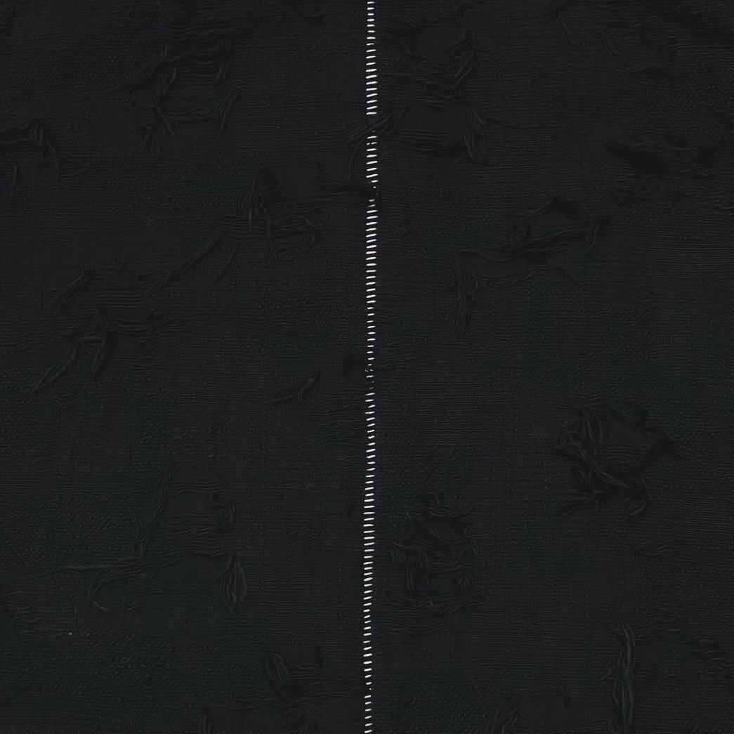 Rustic Collar Chore Jacket Boro Crust(NOIR) | M