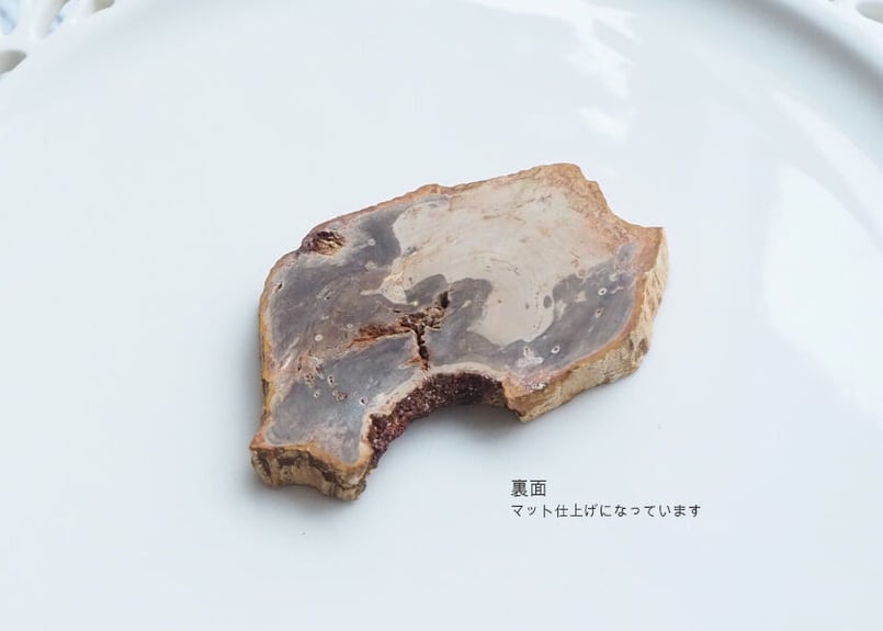 珪化木原石スライス 1 | mizunone