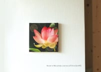 flower of life photo canvas LOTUS & QUARTZ