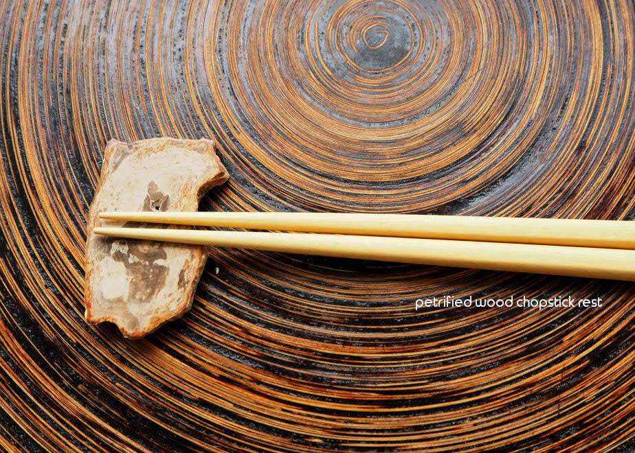 天然石 珪化木 スライス 911 リムキャスト 珪化木 ピンクカルセドニー