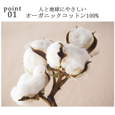 【日本製・2Lサイズ】【ナチュラル・レナ】（レディース襟つき）（綿100％）柔らかダブルガーゼ・パジャマ nr-02-2L
