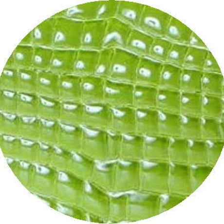 【日本製】【rena -iris  made in japan】牛革エナメルクロコ(パテントレザー）薄マチお札入れ長財布　ir-4044