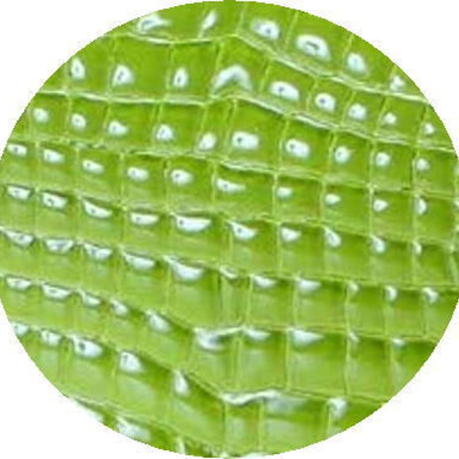61f4ed850020fc0abc6b08b4