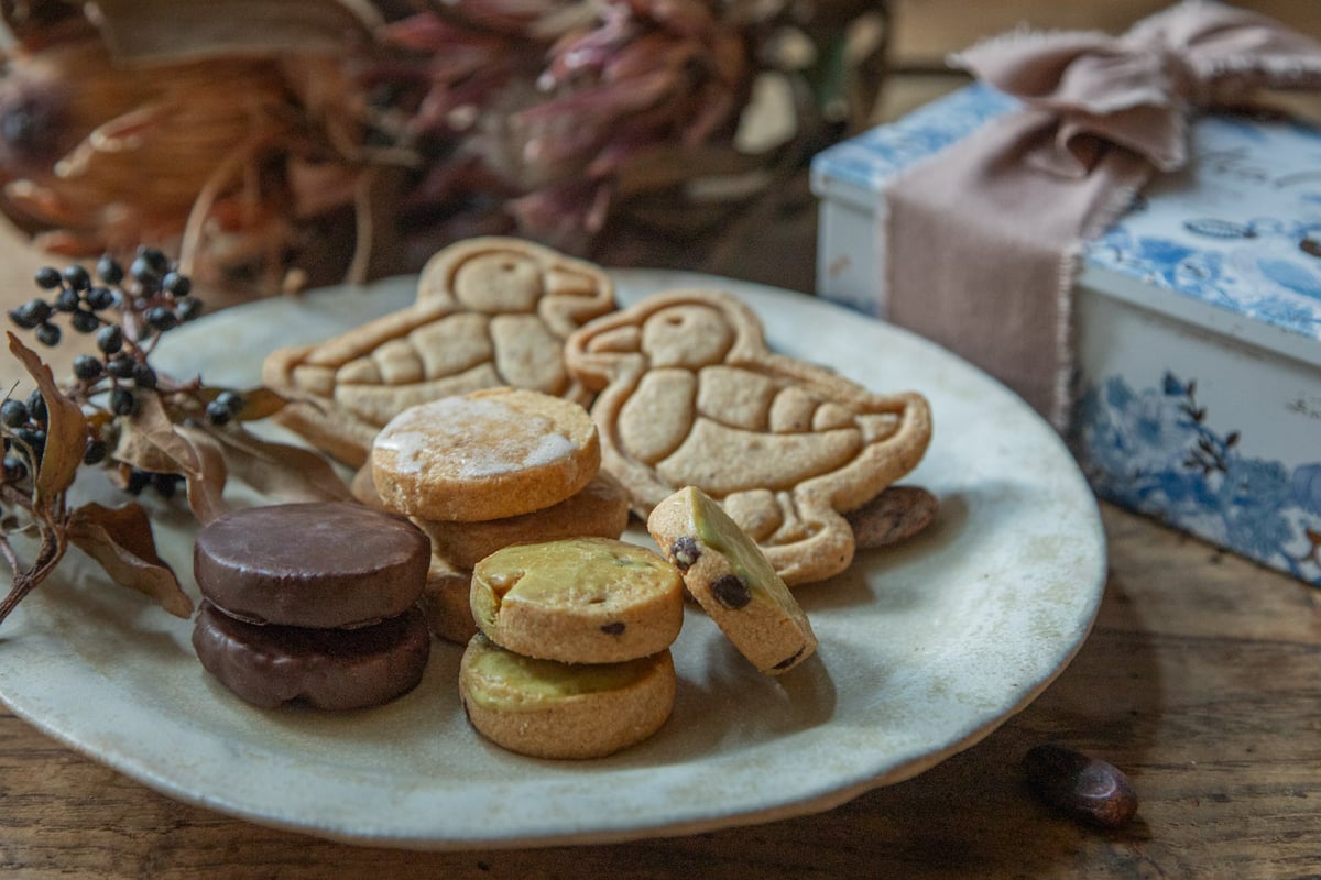 fit=scale-down,w=1200