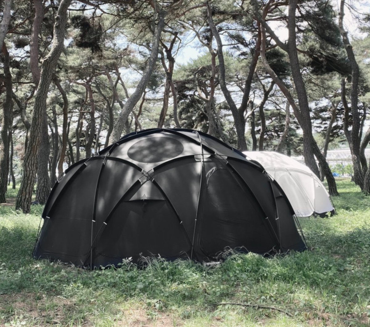 希少品】 TARP to TARP ACORN HOUSE 4.75