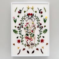 “Blooming all year round”   US$350