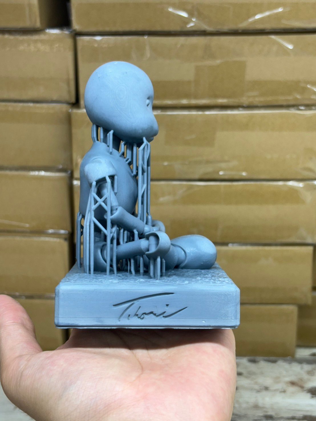 ☆ JUNK WORLD 【子ロビン模型付豪華版】 パッケージ（Blue-ray