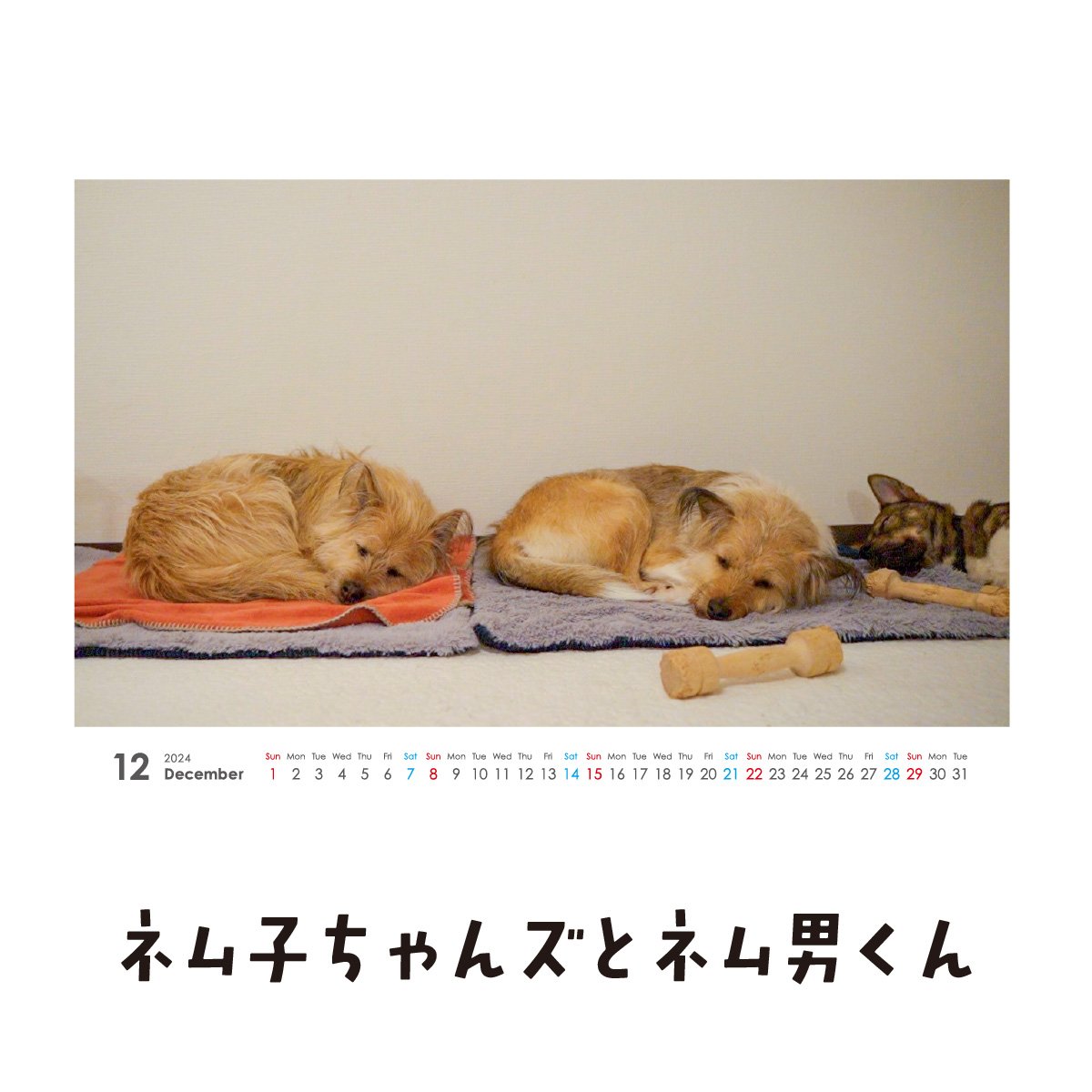 ポルシェ　カレンダー　壁掛け　卓上　2024  大判 限定品】ポルシェ カレンダー 2024 とてつもなく 壁掛け 卓上