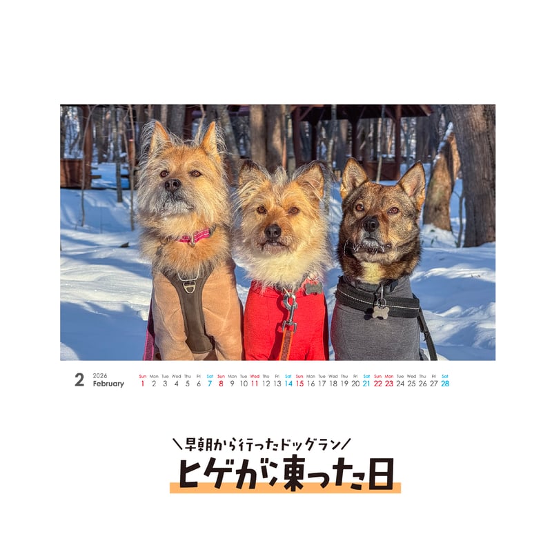 セット】壁掛けと卓上カレンダーのセット2026(特典ポストカード付