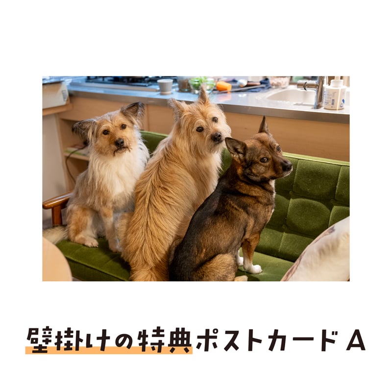 壁掛けカレンダー2026（特典ポストカード付）【ポテとひだりと