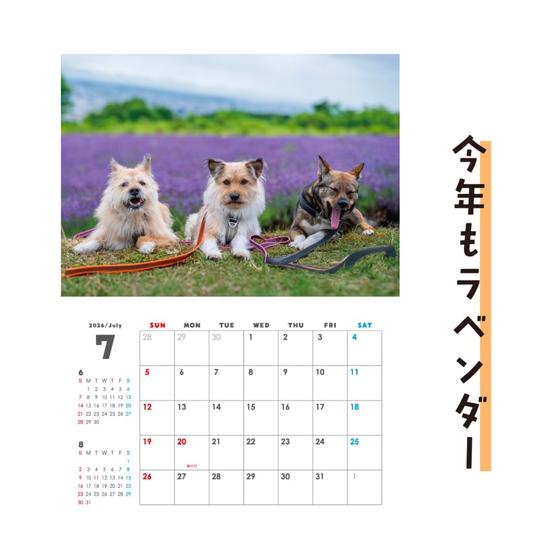 セット】壁掛けと卓上カレンダーのセット2026(特典ポストカード付